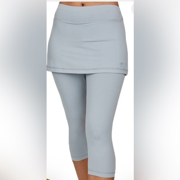 Sofibella Dresses & Skirts - Abraza Skort NWT XL grey
